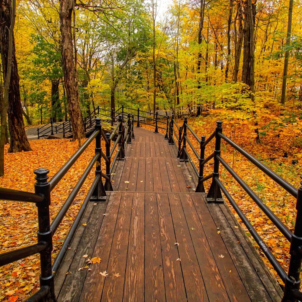 Đừng để mất cơ hội bảo lãnh cha mẹ vì 5 lỗi này Đừng để mất cơ hội bảo lãnh cha mẹ vì 5 lỗi này