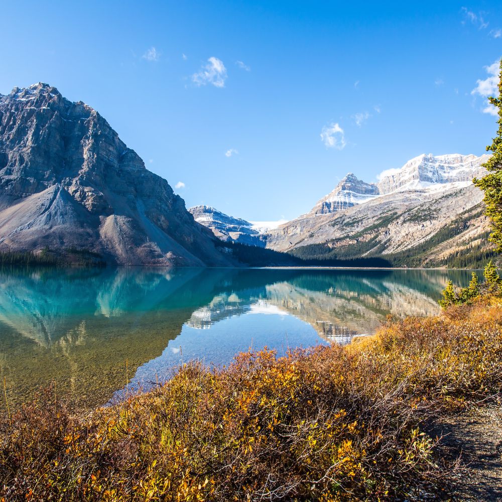 cách định cư Canada ngành xây dựng