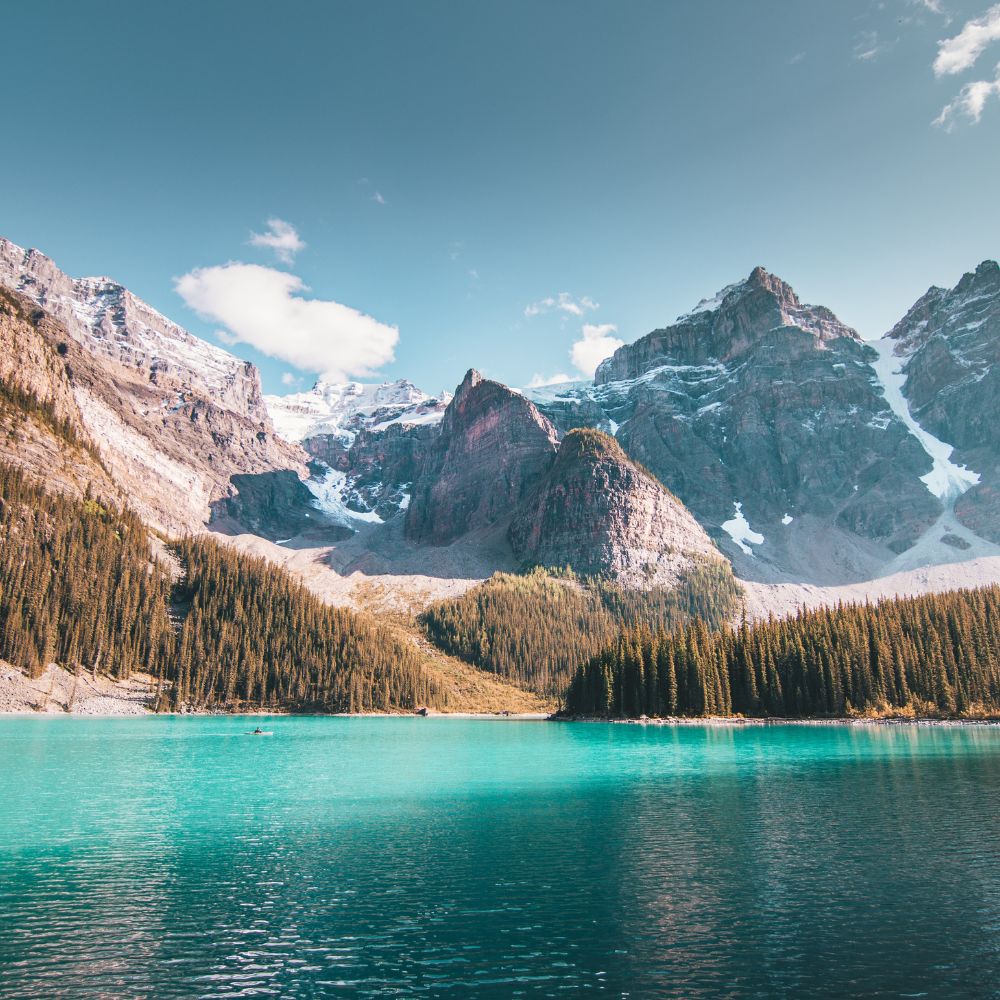 danh sách 59 ngành nghề SINP